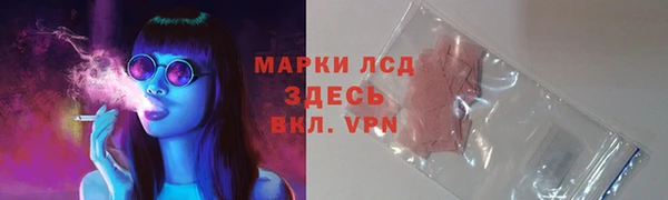 бошки Алексин