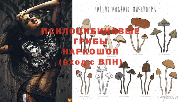 таблы Аркадак